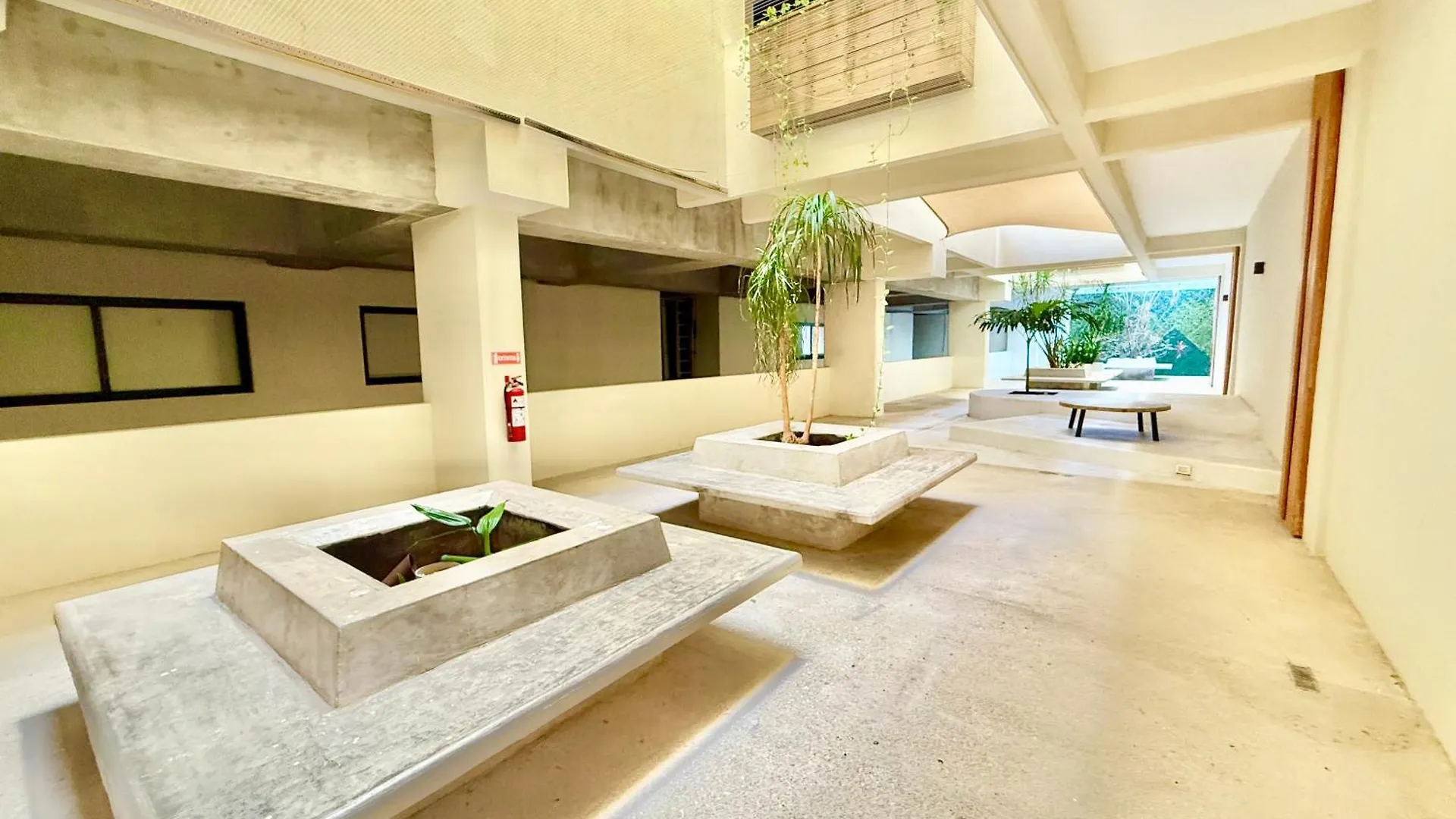 Large Studio, Large Rooftop Pool, Great Location! Playa del Carmen Apartment